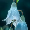 Terra Winter - @terra.winter - TikTok
