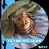 Terra.DeWinter - @terra.dewinter - TikTok