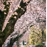 Terra🌸🌸 - @terra_young_ - Instagram
