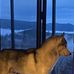 Evergreen Terrace, Washington - Facebook