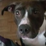 Terrance Gray - @terrancegray4129 - Instagram