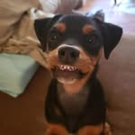 Terrance Michael McRay - @tazinbmore - Instagram