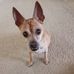Terre Smith - Facebook