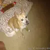 Terre Smith - @terre.smith - TikTok