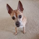 Terre Smith - @terresmithcosmo - Instagram