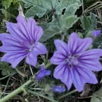 Hulda Terry - Facebook