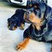 Terell Floyd - Facebook