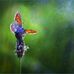 Terrell Ford - Facebook