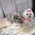 Debbie Terrell Forrest - Facebook