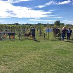 Terrell Gardner - @partyanimalpettingzoo - Instagram