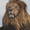 Terrell Gardner - @user8274108558812 - TikTok