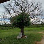 terrell - @terrellglass153 - Instagram