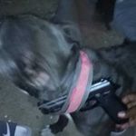 Terrell Heard - @terrell.heard.338 - Instagram