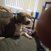 Darrell Hensley - Facebook