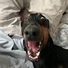 Terrell Hills Care Home - @endoflifecarewithcooper - TikTok
