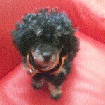 Bentley Terrell Holcomb - @bentley_holcomb - Instagram