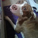 Terrell Holmes - @egpb400 - Instagram