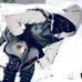Terrell Holt - Facebook