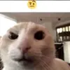 user401253084121 - @terrellhorne728sqi - TikTok