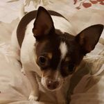 Carla Terrell Maxwell - @carlaterrellmaxwell - Instagram