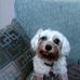 Terrell Medlock - Facebook