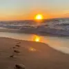 Terrell Phillips - @terrell.phillips8 - TikTok