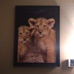 Terrell Price - @terrellprice367 - Instagram