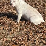 Terrell Tate - Facebook