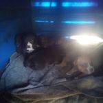 Terrell Thompkins - @23ready2300 - Instagram
