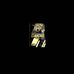 Terrell Walters - Facebook