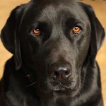 Terrell Williamson - @t_williamson845 - Instagram