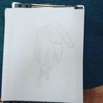 terrellewise - @terrellewise - Instagram