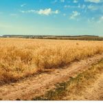 Wyatt Terrell - @wyattterrell1 - Instagram