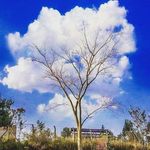 Terence Adrian - @terenceadrian - Instagram