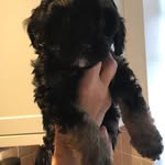 Terence Albert Joseph Ledwith - @terencealbertjoseph - Instagram