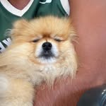 Terence.Albert - @terence.albert97 - Instagram