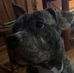 Terrance Arrington Jr. - Facebook