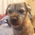 Terence Baxter - @terencebaxter66 - Instagram