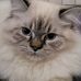 Terrence Byrd - Facebook