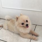Christopher Terrence Prince - @christopherterrenceprince - Instagram