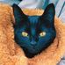 Terrance Clemens - Facebook