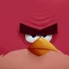 Daily terrence - @daily.terrence - TikTok