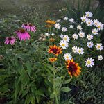 Terrence B. Dalton - @tdalton1226 - Instagram