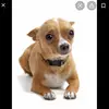 terrencedalton123 - @terrencedalton123 - TikTok