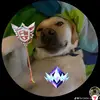deez_nut - @terrencefaison0 - TikTok