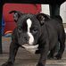 Terrence Hicks - Facebook