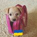 Terrence Kim - Facebook
