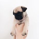 London Terrence - @londonterrence_ - Instagram