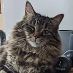 @terrencemaher1 - Instagram