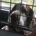 Terry Manley - Facebook